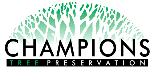 Champions Tree Preservation  Logo