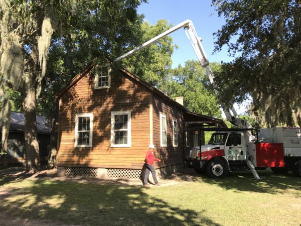 Tree trimming over house
