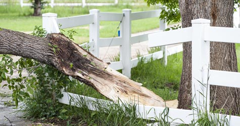 Fence Damage from Fallen Branch